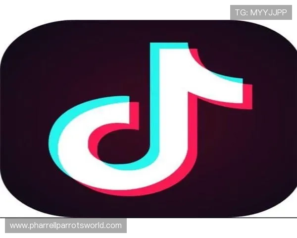 ob视讯官网全面介绍让你轻松了解最新的娱乐直播平台功能与服务特色