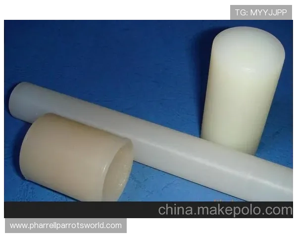 优选PA视讯网址大全，海量娱乐内容一站式体验