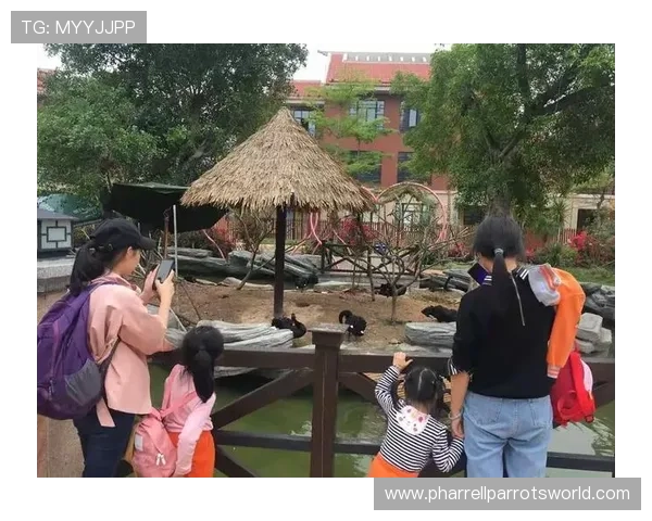 天博真人:实时互动体验增强玩家之间的互动乐趣营造真实的娱乐氛围