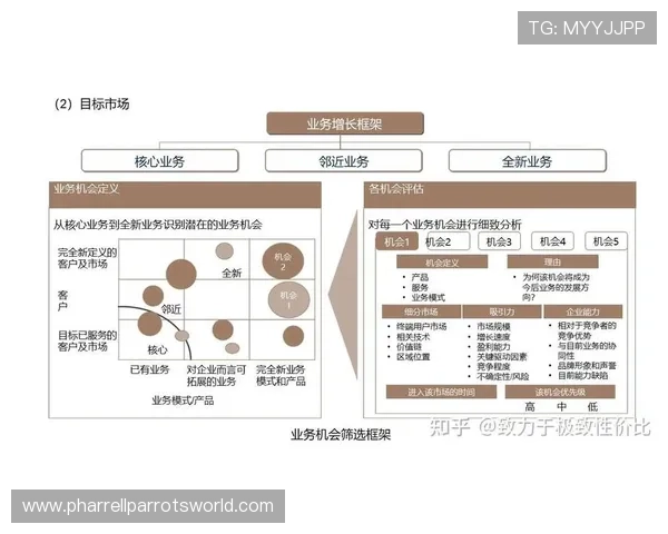 盛大娱乐：打造全球知名娱乐品牌，拓展国际市场的战略布局