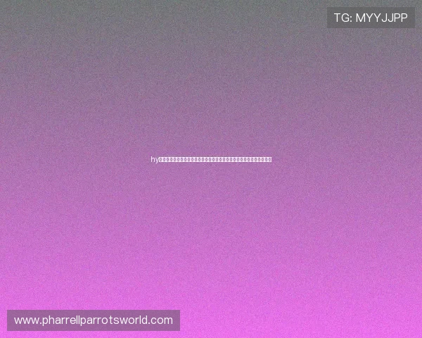 hy娱乐棋牌为世界杯期间的体育竞猜和棋牌娱乐提供全方位技术支持与服务