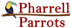 Pharell Parrots World